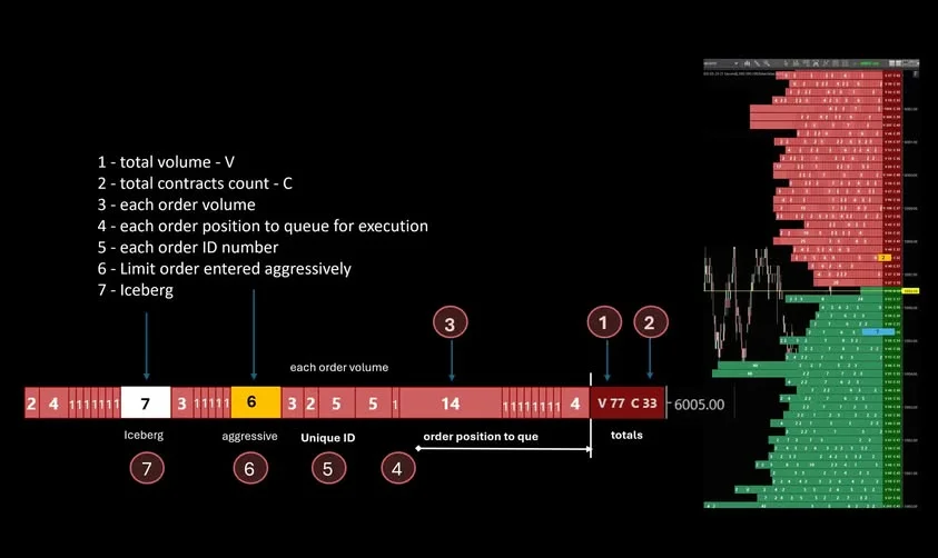 ما وراء الشاشة: الخريطة الشاملة لعمق السوق (Market Depth) وكود المستوى الثالث (MBO)